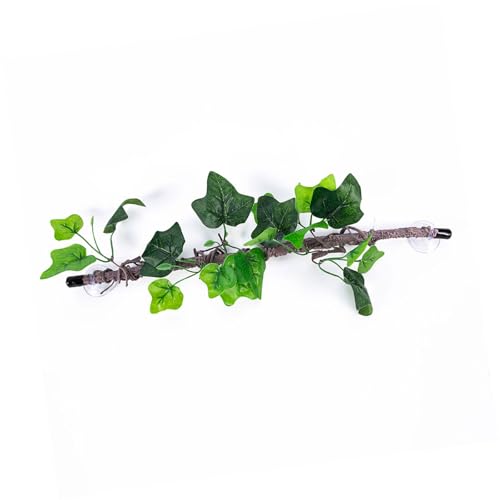 Asukohu Künstliche Reptilienpflanze für Kletterverstecke, Terrarium, Dschungel, künstliche Rebe, Amphibien, Lebensraum, Ornamente, Reptilien, Lebensraum, Dekoration Asukohu Künstliche Reptilienpflanze für Kletterverstecke, Terrarium, Dschungel, künstliche Rebe, Amphibien, Lebensraum, Ornamente, Reptilien, Lebensraum, Dekoration von Asukohu