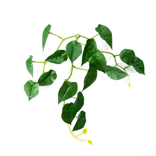 Saugnapf-Blatt-Pad, Ruhebett für Fische, Hängemattenbeet, Aquarien, Laichen, Boden, Blätter, Aquarien, Zuchtbedarf, Terrarium, Pflanze Saugnapf-Blatt-Pad, Ruhebett für Fische, Hängemattenbeet, Aquarien, Laichen, Boden, Blätter, Aquarien, Zuchtbedarf, Terrarium, Pflanze von Asukohu