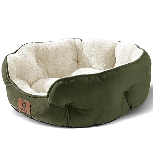 Asvin Hundebett für mittelgroße Hunde, große Katzenbetten für drinnen Katzen, Haustierbett für Welpen und Kätzchen, grün, 63.5 cm von Asvin
