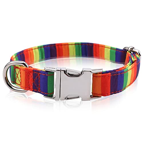 Asvin Hundehalsband, Regenbogen Haustierhalsband, verstellbares Personalisiert Hunde Halsband, für Hunde Kleine Mittel große Hunde (L(30CM~50CM), Regenbogen) von Asvin