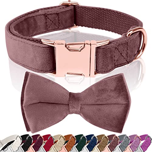 Asvin Hundehalsband Samtige, mit Abnehmbarer Hunde Fliege, Weich und Bequem Hunde Halsband, Mehrfarbig Samtige Hundehalsband, für Hochzeiten, Geburtstage, Partys usw von Asvin