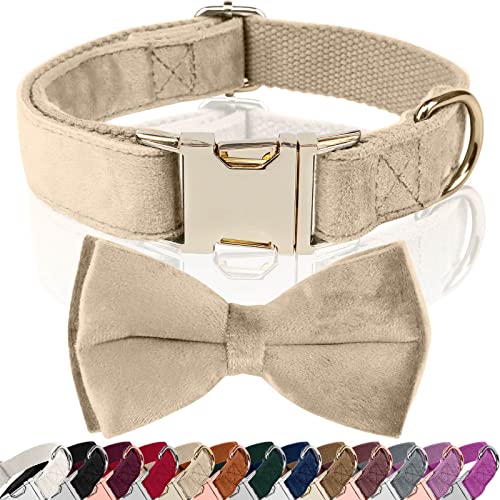 Asvin Hundehalsband Samtige, mit Abnehmbarer Hunde Fliege, Weich und Bequem Hunde Halsband, Mehrfarbig Samtige Hundehalsband, für Hochzeiten, Geburtstage, Partys usw Asvin Hundehalsband Samtige, mit Abnehmbarer Hunde Fliege, Weich und Bequem Hunde Halsband, Mehrfarbig Samtige Hundehalsband, für Hochzeiten, Geburtstage, Partys usw von Asvin