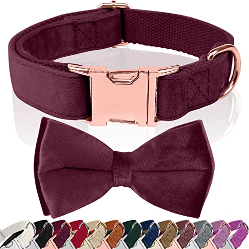 Asvin Hundehalsband Samtige, mit Abnehmbarer Hunde Fliege, Weich und Bequem Hunde Halsband, Mehrfarbig Samtige Hundehalsband, für Hochzeiten, Geburtstage, Partys usw Asvin Hundehalsband Samtige, mit Abnehmbarer Hunde Fliege, Weich und Bequem Hunde Halsband, Mehrfarbig Samtige Hundehalsband, für Hochzeiten, Geburtstage, Partys usw von Asvin