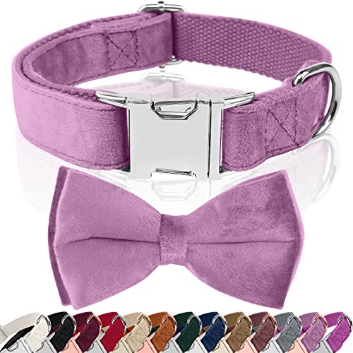 Asvin Hundehalsband Samtige, mit Abnehmbarer Hunde Fliege, Weich und Bequem Hunde Halsband, Mehrfarbig Samtige Hundehalsband, für Hochzeiten, Geburtstage, Partys usw von Asvin