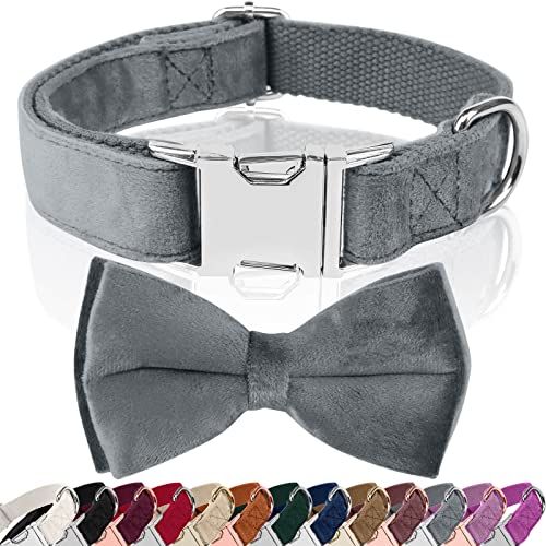 Asvin Hundehalsband Samtige, mit Abnehmbarer Hunde Fliege, Weich und Bequem Hunde Halsband, Mehrfarbig Samtige Hundehalsband, für Hochzeiten, Geburtstage, Partys usw Asvin Hundehalsband Samtige, mit Abnehmbarer Hunde Fliege, Weich und Bequem Hunde Halsband, Mehrfarbig Samtige Hundehalsband, für Hochzeiten, Geburtstage, Partys usw von Asvin