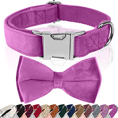 Asvin Hundehalsband Samtige, mit Abnehmbarer Hunde Fliege, Weich und Bequem Hunde Halsband, Mehrfarbig Samtige Hundehalsband, für Hochzeiten, Geburtstage, Partys usw von Asvin