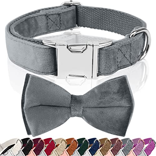 Asvin Hundehalsband Samtige, mit Abnehmbarer Hunde Fliege, Weich und Bequem Hunde Halsband, Mehrfarbig Samtige Hundehalsband, für Hochzeiten, Geburtstage, Partys usw von Asvin