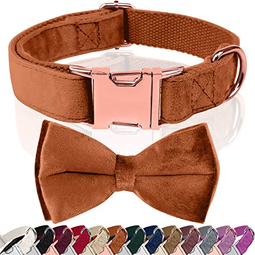 Asvin Hundehalsband Samtige, mit Abnehmbarer Hunde Fliege, Weich und Bequem Hunde Halsband, Mehrfarbig Samtige Hundehalsband, für Hochzeiten, Geburtstage, Partys usw Asvin Hundehalsband Samtige, mit Abnehmbarer Hunde Fliege, Weich und Bequem Hunde Halsband, Mehrfarbig Samtige Hundehalsband, für Hochzeiten, Geburtstage, Partys usw von Asvin