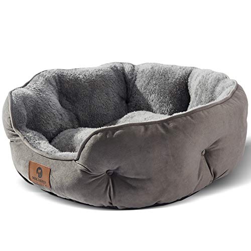Asvin Kleines Hundebett für kleine Hunde, Katzenbetten für Indoor Katzen, Haustierbett für Welpen und Kätzchen, grau, 50.8 cm Asvin Kleines Hundebett für kleine Hunde, Katzenbetten für Indoor Katzen, Haustierbett für Welpen und Kätzchen, grau, 50.8 cm von Asvin