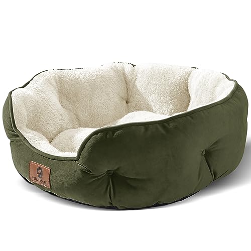 Asvin Mittelgroßes Hundebett für mittelgroße Hunde, Katzenbetten für Hauskatzen, Haustierbett für Welpen und Kätzchen, extra weich und maschinenwaschbar, mit Rutschfester und wasserabweisender Asvin Mittelgroßes Hundebett für mittelgroße Hunde, Katzenbetten für Hauskatzen, Haustierbett für Welpen und Kätzchen, extra weich und maschinenwaschbar, mit Rutschfester und wasserabweisender von Asvin