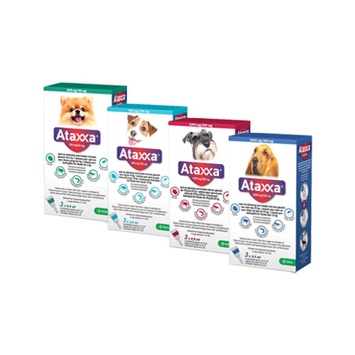 Ataxxa 2000mg/400mg spot-on - >25kg - 3 Pipetten Ataxxa 2000mg/400mg spot-on - >25kg - 3 Pipetten von Ataxxa