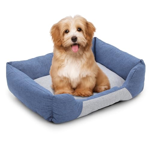 Athena Collection Hundebett, Größe M, 68 cm, waschbar, Hundebett für mittelgroße Haustiere und Katzen, gemütlicher, weicher, wärmender Stoff mit Rutschfester Unterseite, Blau Athena Collection Hundebett, Größe M, 68 cm, waschbar, Hundebett für mittelgroße Haustiere und Katzen, gemütlicher, weicher, wärmender Stoff mit Rutschfester Unterseite, Blau von Athena Collection