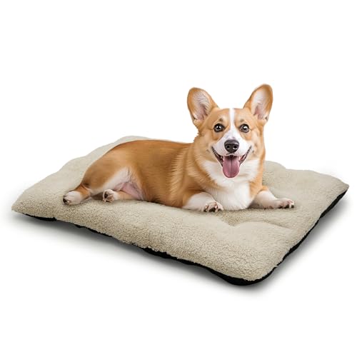Athena Collection Hundebett, mittelgroß, 89,9 cm, waschbar, für mittelgroße Hunde, Katzen, Haustiere, künstliche Tanne, beruhigende Kiste, wärmend, gemütlich, weich, Beige Athena Collection Hundebett, mittelgroß, 89,9 cm, waschbar, für mittelgroße Hunde, Katzen, Haustiere, künstliche Tanne, beruhigende Kiste, wärmend, gemütlich, weich, Beige von Athena Collection