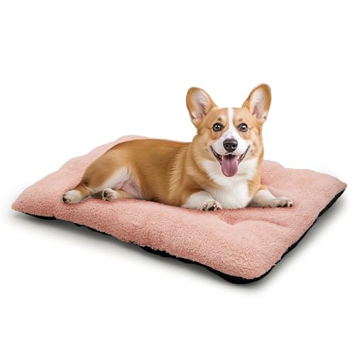 Athena Collection Hundebett, mittelgroß, 89,9 cm, waschbar, für mittelgroße Hunde, Katzen, Haustiere, künstliche Tanne, beruhigende Kiste, wärmend, gemütlich, weich, Rosa Athena Collection Hundebett, mittelgroß, 89,9 cm, waschbar, für mittelgroße Hunde, Katzen, Haustiere, künstliche Tanne, beruhigende Kiste, wärmend, gemütlich, weich, Rosa von Athena Collection