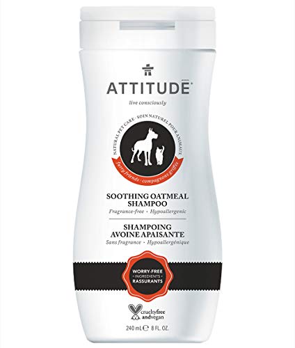 ATTITUDE Natural Pet Care - Beruhigendes Shampoo mit Haferextrakt für Fellträger (1 x 240 ml) von Attitude