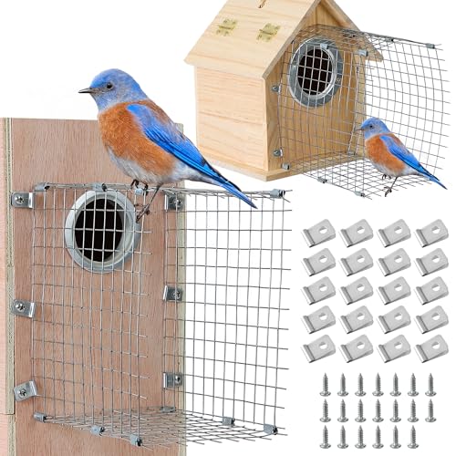 Bluebird-Hausschutz, Vogelhaus, Drahteingangsschutz, Edelstahl, Vogelhaus, Lochschutz für östliche Bluebird-Häuser, Ihre Vogelbabys sicher (Silber, 10,2 x 15,2 x 15,2 cm, 2 Stück) von Atvkov