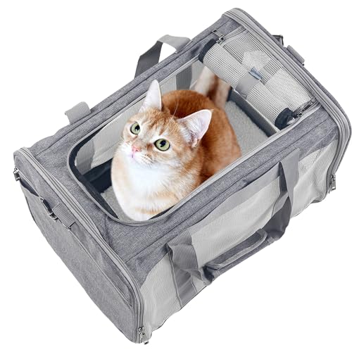 ATVOBIY Tragbare Tragetasche für kleine bis mittelgroße Katzen und Welpen, weich, von Fluggesellschaften zugelassen (groß, grau) ATVOBIY Tragbare Tragetasche für kleine bis mittelgroße Katzen und Welpen, weich, von Fluggesellschaften zugelassen (groß, grau) von Atvobiy