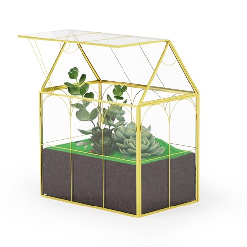 Atzciyr Geometrisches Pflanzen-Terrarium aus Glas, moderne Dekoration, DIY-Geschenk-Box, Glas-Pflanzgefäß, Terrarium mit Deckel, Sukkulenten & Luft-Pflanzgefäß für Zuhause, Garten, Büro, Dekoration Atzciyr Geometrisches Pflanzen-Terrarium aus Glas, moderne Dekoration, DIY-Geschenk-Box, Glas-Pflanzgefäß, Terrarium mit Deckel, Sukkulenten & Luft-Pflanzgefäß für Zuhause, Garten, Büro, Dekoration von Atzciyr