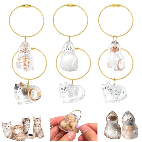 Audasi 6 Stück Katzenhaar SchlüSselanhäNger, Transparente Acryl Katze Form Memorial Storage Capsule Anhänger Katze Memorial Anhänger Haustier Haar Lagerung Flasche Sammeln Geschenk für Tierliebhaber Audasi 6 Stück Katzenhaar SchlüSselanhäNger, Transparente Acryl Katze Form Memorial Storage Capsule Anhänger Katze Memorial Anhänger Haustier Haar Lagerung Flasche Sammeln Geschenk für Tierliebhaber von Audasi