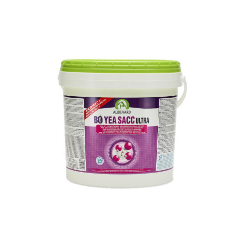 Audevard Bo Yeas Act Ultra - 5 kg von Audevard