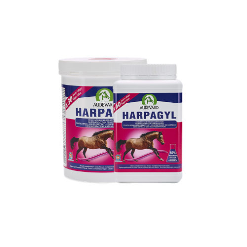 Audevard Harpagyl - 450 g von Audevard