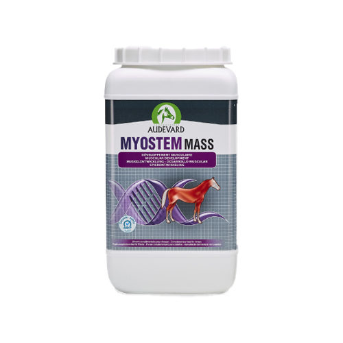 Audevard Myostem Mass - 2,1 kg von Audevard