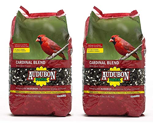 Aududon Park 12231 Wildvogelfutter, Kardinalmischung, 1,37 kg Aududon Park 12231 Wildvogelfutter, Kardinalmischung, 1,37 kg von Audubon Park