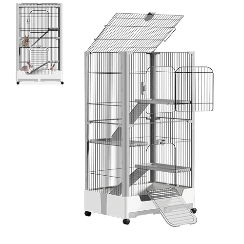 Aufun 2 Ebenen Kaninchenstall, Mobiler Haustierkäfig, Kleintierkäfig Sicherheitsschlösser, Meerschweinchenkäfig Nagerkäfig mit offenem Dach, Rollen, abnehmbar Bodenplatte und Leiter 73 x 50 x 113 cm Aufun 2 Ebenen Kaninchenstall, Mobiler Haustierkäfig, Kleintierkäfig Sicherheitsschlösser, Meerschweinchenkäfig Nagerkäfig mit offenem Dach, Rollen, abnehmbar Bodenplatte und Leiter 73 x 50 x 113 cm von AufuN