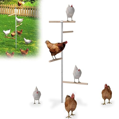 Aufun Hühnersitzstange 4 Ebenen Große 120x40cm Geflügelständer, Hühner-Spielplatz aus Holz für Hühner Zubehör, Hühnerspielzeug Sitzstangen Hühnerstange für Hinterhofgeflügel Hühnerstall Bauernhof von AufuN