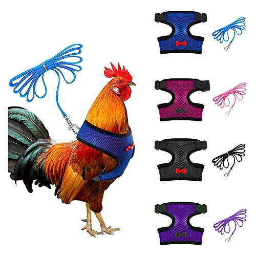 Verstellbares Hühnergeschirr mit Leine, 4 Stile, Bequeme Hennenweste, atmungsaktives Netzgewebe, Trainingsgeschirr und Leine für 1,1–1,6 kg Ente, Gans, Henne, kleine Haustiere, 4 Stück Verstellbares Hühnergeschirr mit Leine, 4 Stile, Bequeme Hennenweste, atmungsaktives Netzgewebe, Trainingsgeschirr und Leine für 1,1–1,6 kg Ente, Gans, Henne, kleine Haustiere, 4 Stück von Aulock