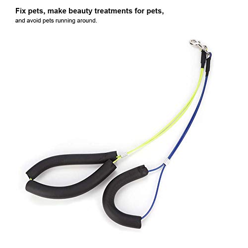 Verstellbare Haustierpflegeleine, Schönheitsbehandlungen, Haustiere, Haustierpflegetisch, Haustierpflegeschlaufe, Bequemes Halsband aus Schaumstoff, Baumwolle, Edelstahlseil, Verstellbare Haustierpflegeleine, Schönheitsbehandlungen, Haustiere, Haustierpflegetisch, Haustierpflegeschlaufe, Bequemes Halsband aus Schaumstoff, Baumwolle, Edelstahlseil, von Aumotop