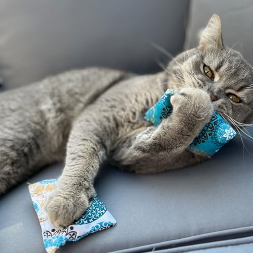 Aumüller Baldrian Schmusekissen für Katzen, 4er Set - Katzenspielkissen Baldini, Kissen aus Schmuseplüsch, Made in Germany von Aumüller
