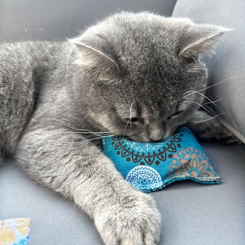 Aumüller Schmusekissen für Katzen mit Katzenminze, 4er Set - Katzenspielkissen Minzini, Kissen aus Schmuseplüsch, Made in Germany Aumüller Schmusekissen für Katzen mit Katzenminze, 4er Set - Katzenspielkissen Minzini, Kissen aus Schmuseplüsch, Made in Germany von Aumüller