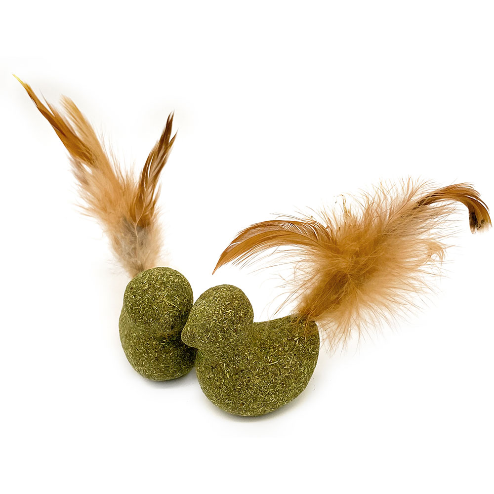 Aumüller Silvervine Dentalspielzeug Vögelchen - Sparpaket: 2 x 2er Set von Aumüller