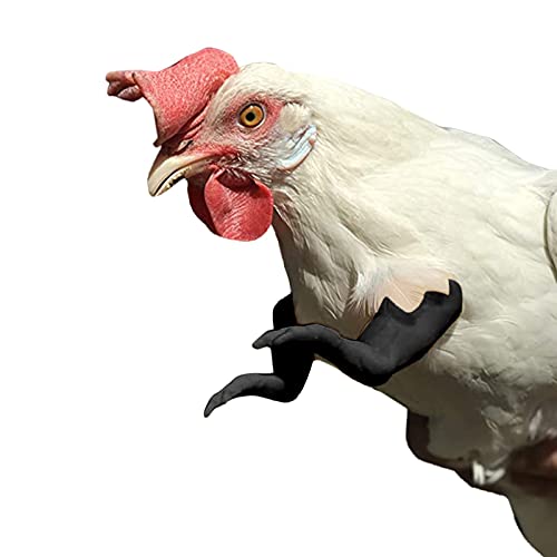 Aunye Chicken Arms Gag,Chicken Arms Costume Toy 3D Printed, Kunststoffarm zur Vermeidung von Hühnerverletzungen (B) von Aunye