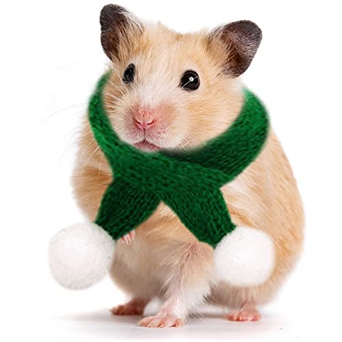 Aunye Weihnachten Kostüm Schal für kleine Huhn/Meerschweinchen, Haustier Stricken Schal Winterschal Weihnachten Dekoration für Mini Kleintiere (Grün, M) von Aunye