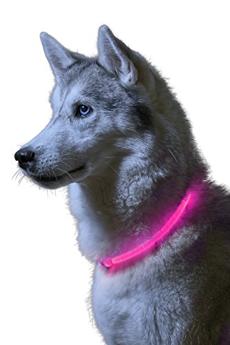 Auraglow Super Bright LED Leuchten Hundehalsband Hohe Sichtbarkeit Blinkende Sicherheit Pet Leine - PINK von Auraglow