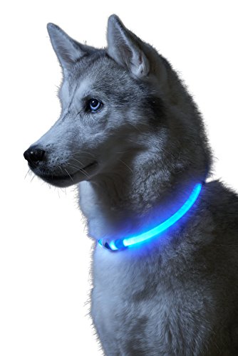 Auraglow Superhelles Leuchtendes LED Hundehalsband Hohe Sicherheit Blinkende Sicherheitsleine von Auraglow