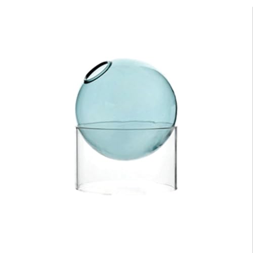 Kreative kugelförmige Glasvase, Pflanze, Terrarien, Kunst, Pflanze, Tischvase, Glas, Aromatherapie von Aurgiarme