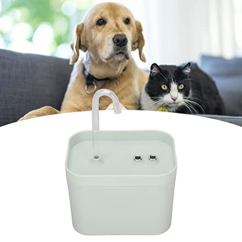 1,5 L Katzen-Trinkbrunnen, Geräuscharmer Automatischer Haustier-Trinkspender für Katzen und Hunde mit Tiefenfiltration und Einfachem Schnellverschluss-Design für Katzen 1,5 L Katzen-Trinkbrunnen, Geräuscharmer Automatischer Haustier-Trinkspender für Katzen und Hunde mit Tiefenfiltration und Einfachem Schnellverschluss-Design für Katzen von Ausla