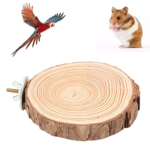 Vogelsitzständer aus Holz, Runde Sitzstangenplattform für Vögel Bietet Bequemen Spiel- und Übungsbereich für Käfigvögel und Papageien, die Im Stehen Beißen (8-10) von Ausla