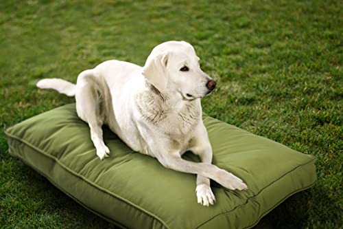 Sunbrella Doppelseitiges Hundebett für drinnen und draußen, waschbarer Bezug und kaufest, Haustiermatte für Mehrzweck, pflegeleicht und haustiersicher für Hunde und Katzen, Größe XL, Polyester, Kiwi, von Austin Horn Classics