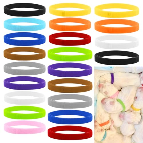 24 x Welpenhalsbänder, verschiedene Farben, Welpenhalsband, doppelseitig, weich, verstellbar, für kleine Katzen, Hunde, Kätzchen, zum Aufwachen von Neugeborenen und Kätzchen 24 x Welpenhalsbänder, verschiedene Farben, Welpenhalsband, doppelseitig, weich, verstellbar, für kleine Katzen, Hunde, Kätzchen, zum Aufwachen von Neugeborenen und Kätzchen von Auswalar