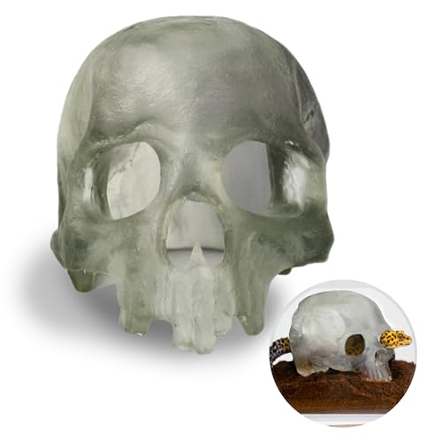 Authentic JOY Totenkopf-Reptilienleder, transparent Authentic JOY Totenkopf-Reptilienleder, transparent von Authentic JOY