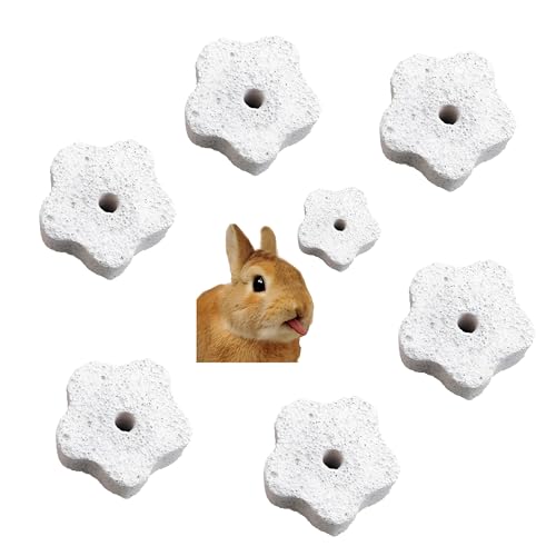 AutoPrevails 5 Stück Mineralstein Kauspielzeug Hamster Hasen Zähne Schleifen Lavablock mit Loch für Papagei Kaninchen Zähne Backenzahn Spielzeug Zubehör Steine für Zahn von AutoPrevails