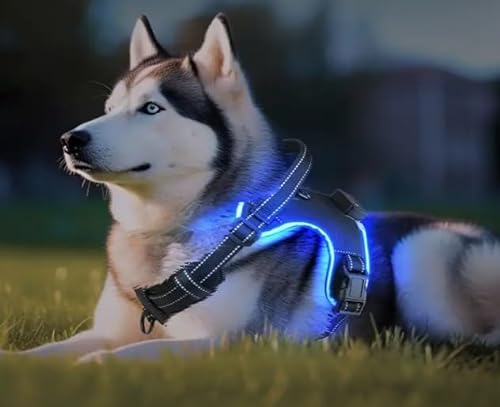 Hundegeschirr, LED-Licht, verstellbares Hundegeschirr mit Sicherheitsgeschirr für kleine, mittelgroße und große Hunde, wiederaufladbare LED-Lichter für Nachtlaufen, kein Ziehen, taktischer Service, von Autumn Rose