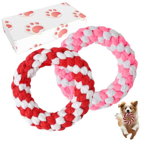AutumnNest Gewebtes rundes Donut-Seilspielzeug-Set, 2 Stück, 12,2 cm, langlebige Baumwolle, Kauspielzeug für Hunde und Katzen, robust, sicher und ungiftig, Zahnungsentlastung und interaktives Spielen AutumnNest Gewebtes rundes Donut-Seilspielzeug-Set, 2 Stück, 12,2 cm, langlebige Baumwolle, Kauspielzeug für Hunde und Katzen, robust, sicher und ungiftig, Zahnungsentlastung und interaktives Spielen von AutumnNest