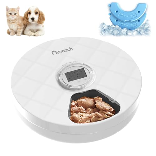 Auveach Futterautomat Katze Nassfutter Automat mit 2 Kühlakkus/Intelligenter Timer, 6 Mahlzeiten Automatischer Futterspender mit Schützen Pfoten/Abdeckung Design für Haustier Katzen Hunde von Auveach