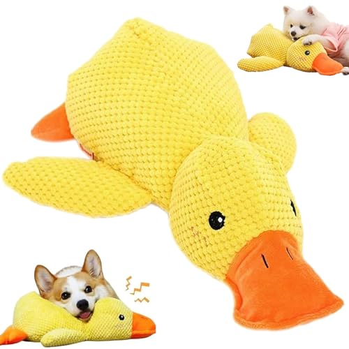 Auzlya Anti Stress Ente Hund,Quack-Quack Duck Hundespielzeug,Interaktives Hundespielzeug Ente,Quietschspielzeug Hund Kuscheltier,Gelbes Quietschspielzeug für Hunde,für Kleine,Mittlere,Große Hunde Auzlya Anti Stress Ente Hund,Quack-Quack Duck Hundespielzeug,Interaktives Hundespielzeug Ente,Quietschspielzeug Hund Kuscheltier,Gelbes Quietschspielzeug für Hunde,für Kleine,Mittlere,Große Hunde von Auzlya