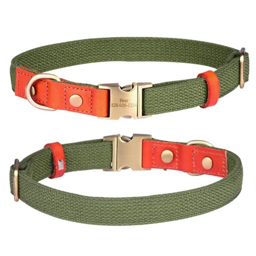 Avaner Hundehalsband, personalisierbar: doppelschichtiges Leder, weich und verschleißfest, Nähte aus Polyester, exquisites Leder, bronzegrün, Größe 1 Avaner Hundehalsband, personalisierbar: doppelschichtiges Leder, weich und verschleißfest, Nähte aus Polyester, exquisites Leder, bronzegrün, Größe 1 von Avaner